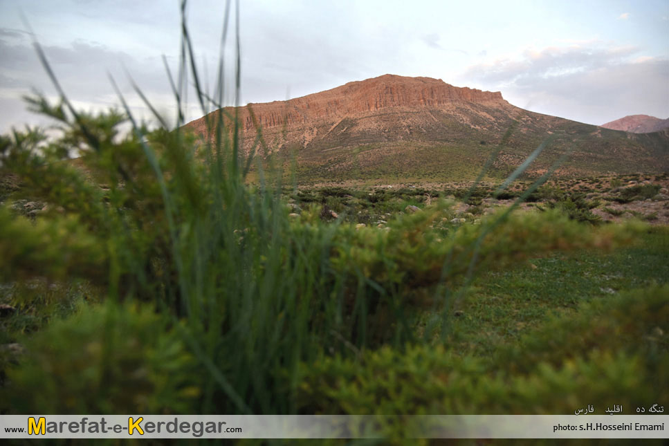 روستای کافتر